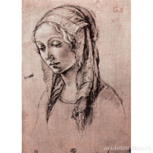 Голова Мадонны