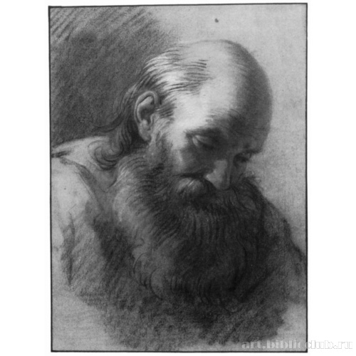 Голова бородатого старика