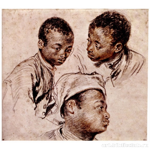 Три этюда головы молодого африканца