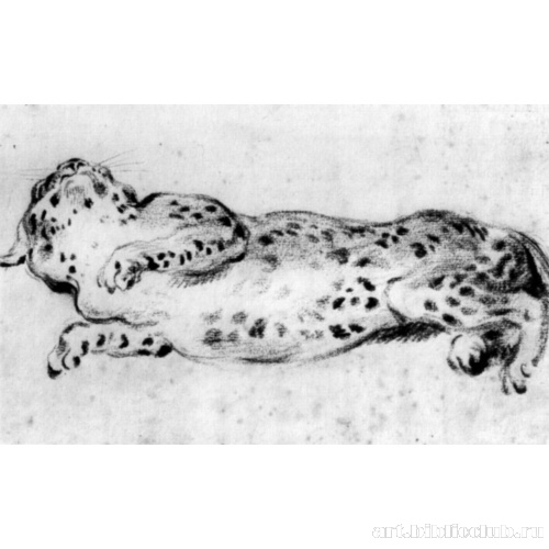 Лежащий леопард