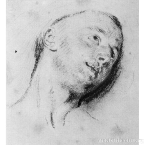 Мужская голова