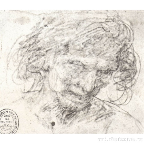 Мужская голова