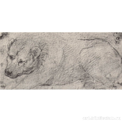 Этюд лежащей собаки