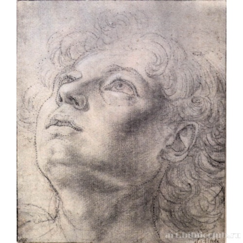 Голова ангела