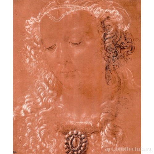 Голова женщины