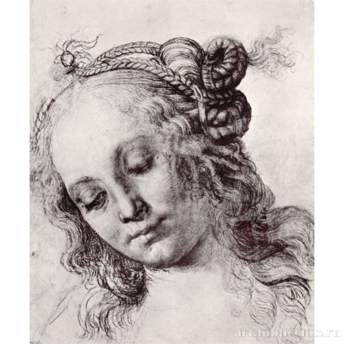 Голова женщины со сложной прической