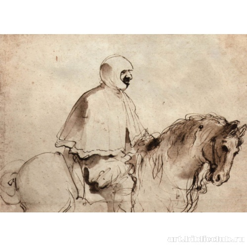 Всадник на лошади