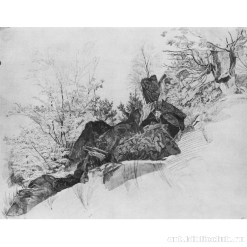 Скалы и деревья