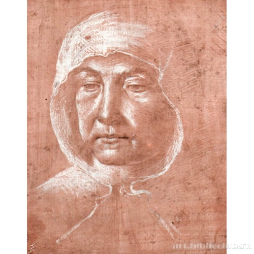 Голова пожилой женщины