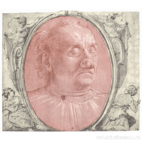 Голова старика