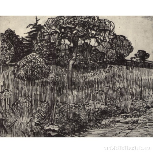 Дерево на лугу