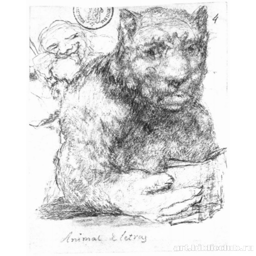 Первый альбом из Бордо [02]: Читающий зверь