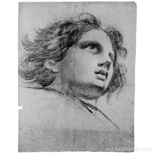 Голова ангела