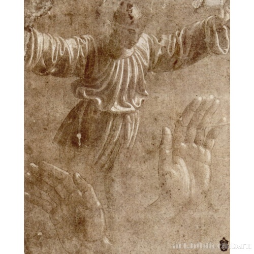 Лист с этюдами летящей фигуры и рук