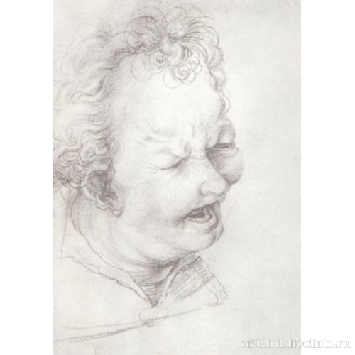 Голова плачущего ангела