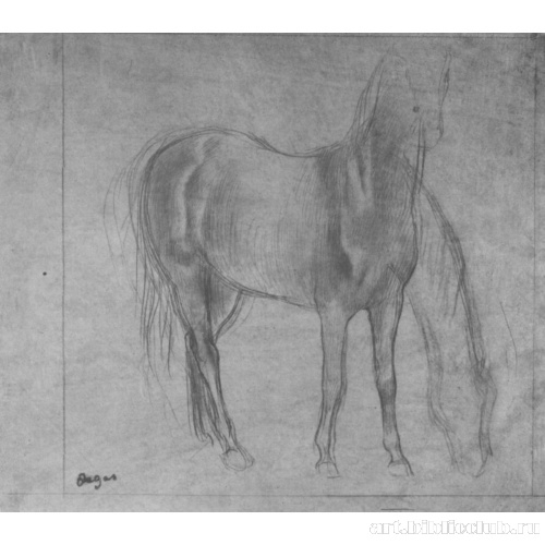 Стоящая лошадь