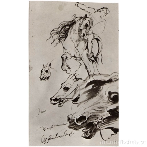 Лист этюдов всадника и голов лошади