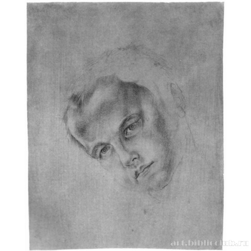 Голова мальчика