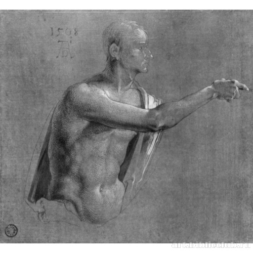 Этюд для Алтаря Геллера: Полуфигура Христа (верхняя часть фигуры)