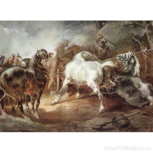 Дерущиеся лошади