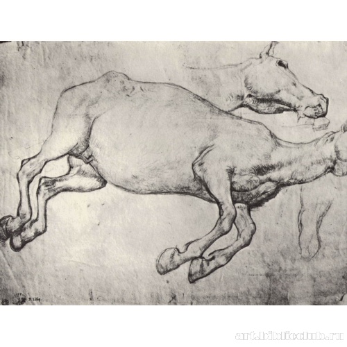 Этюд мертвой лошади