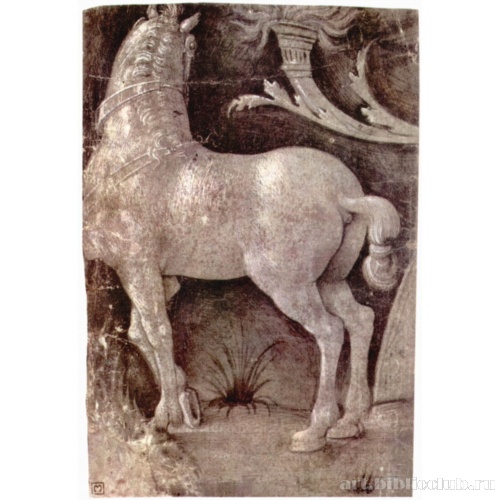 Этюд лошади