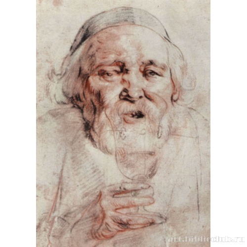 Голова пьющего старика (Портрет Адама ван Норта)