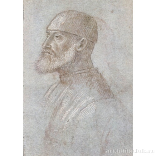 Голова бородатого мужчины в шапке