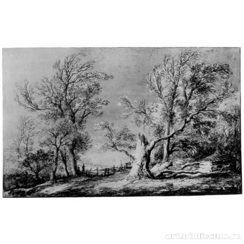 Пейзаж с деревьями