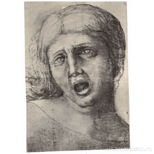 Голова страдающей женщина