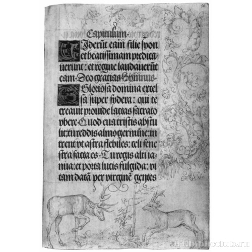 Молитвенник императора Максимилиана I, Растительные арабески и два оленя