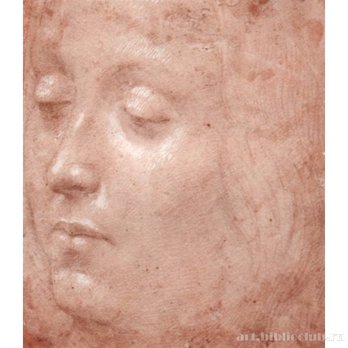 Портрет юноши