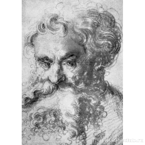 Голова мужчины