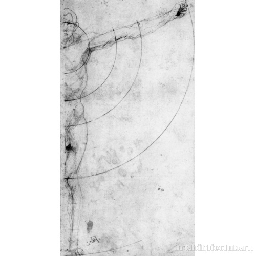 Этюд пропорций