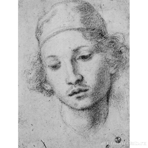 Голова юноши