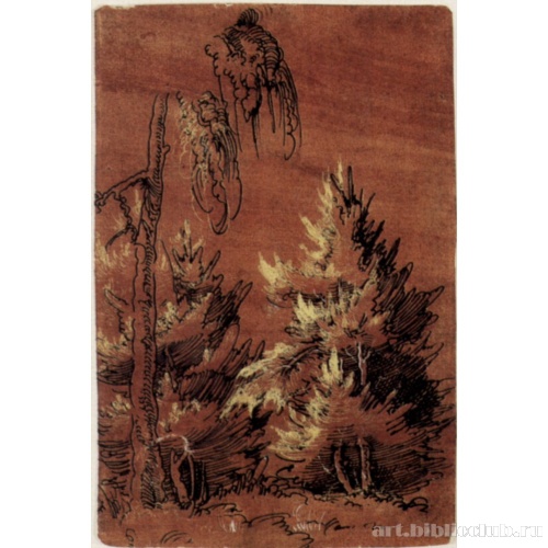 Группа деревьев