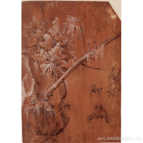 Лист этюдов с растениями и отшельником