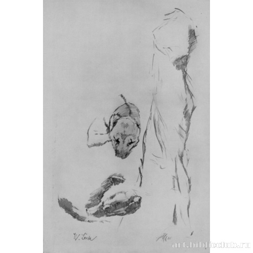 Этюды драпировки и собаки для композиции «Общество за столом»