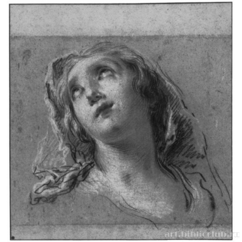 Голова женщины с покрывалом