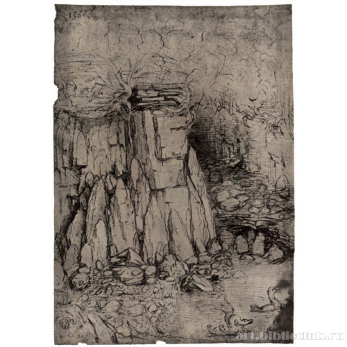 Скалистый обрыв и две водоплавающие птицы