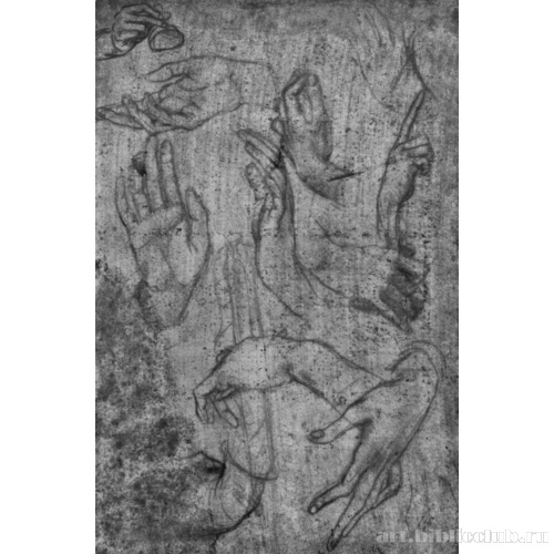 Лист с этюдами рук