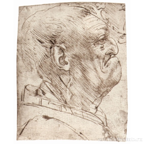 Мужская карикатура