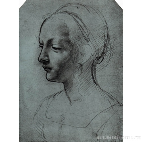 Голова молодой женщины