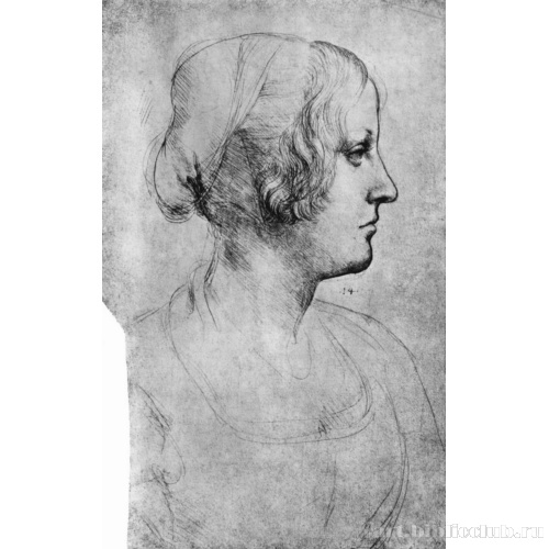 Голова девушки