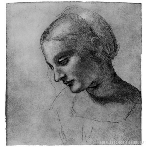 Голова мадонны