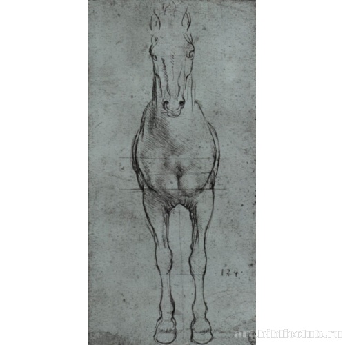 Этюд лошади