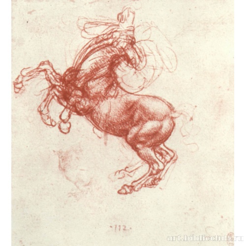 Этюд вставшей на дыбы лошади