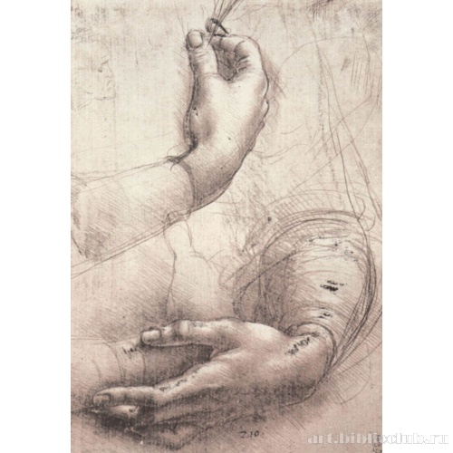 Этюд женских рук