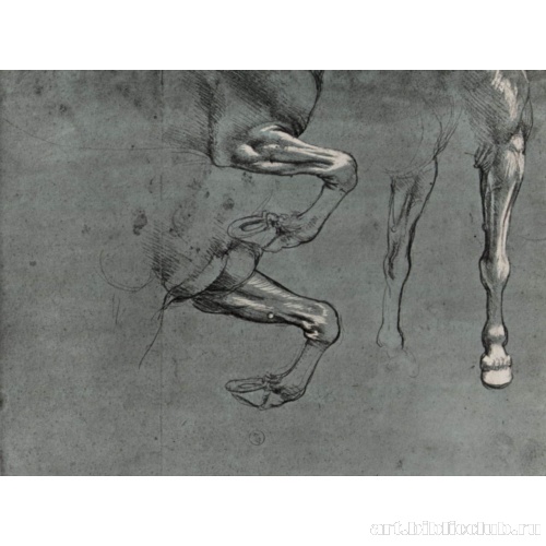 Этюд конских ног