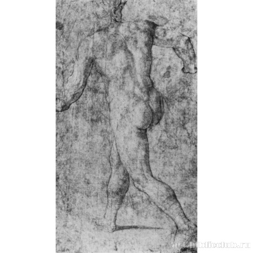 Обнаженный, фигура со спины